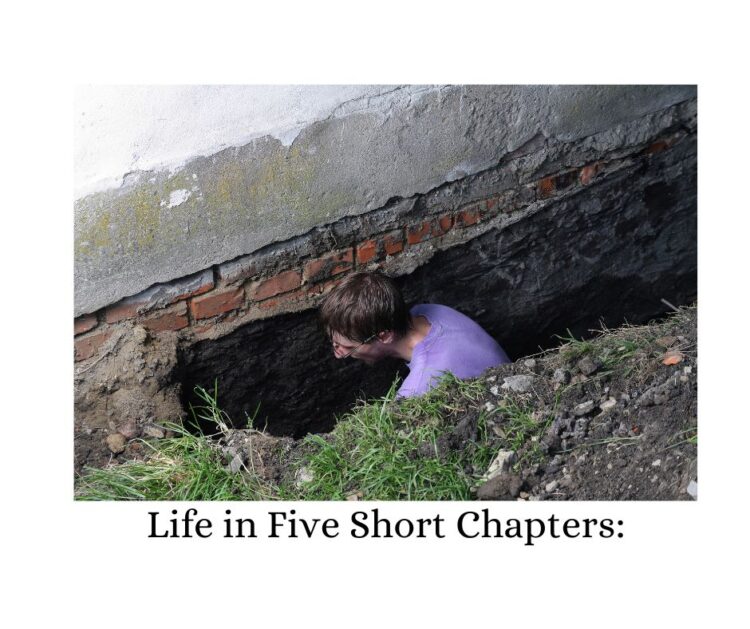 Life in Five Short Chapters
