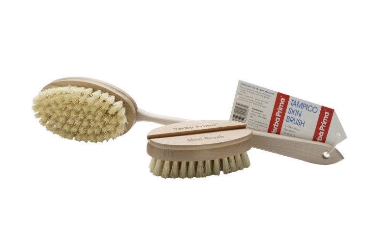The basic equipment for the process of Dry Brushing