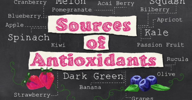 Antioxidant List and Best Bet Foods 1
