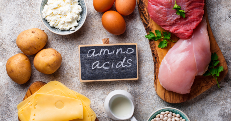 Amino Acid List and Best Bet Foods 1