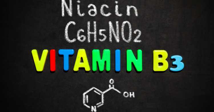 Vitamin B-3 Niacin, Niacinamide 1