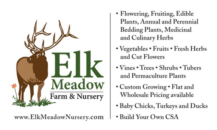 Elk Meadow Farm and Nursery Plants Available 1