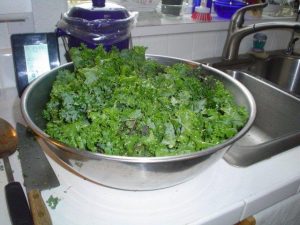 Raw kale in bowl