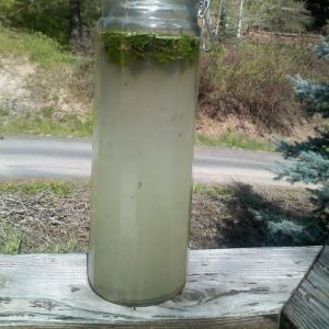 Rosemary Lemonade Recipe 1