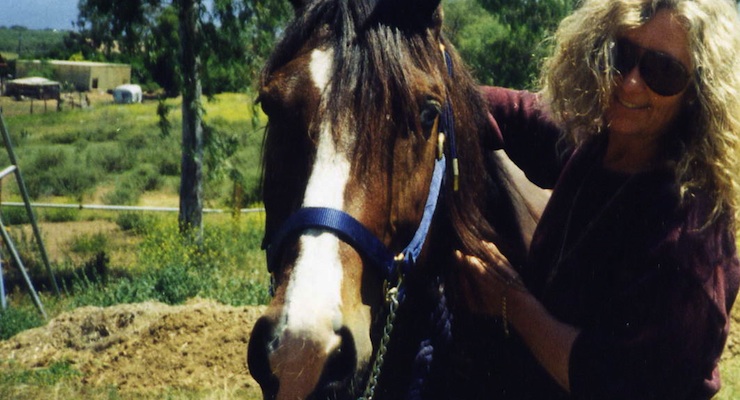 Hoof Challenges in Horses, Natural Health Techniques, Dr. Denice Moffat