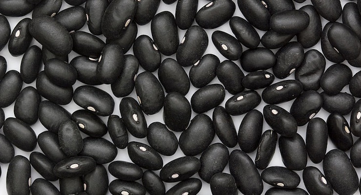 Cuban Black Beans Recipe Natural Health Techniques - Dr. Denice Moffat