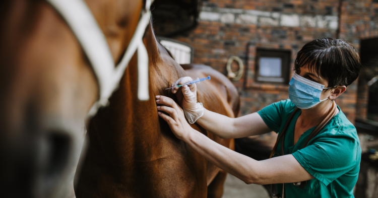 List of Horse Vaccines 1