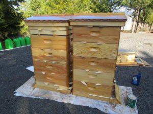 Garden Bee Hives