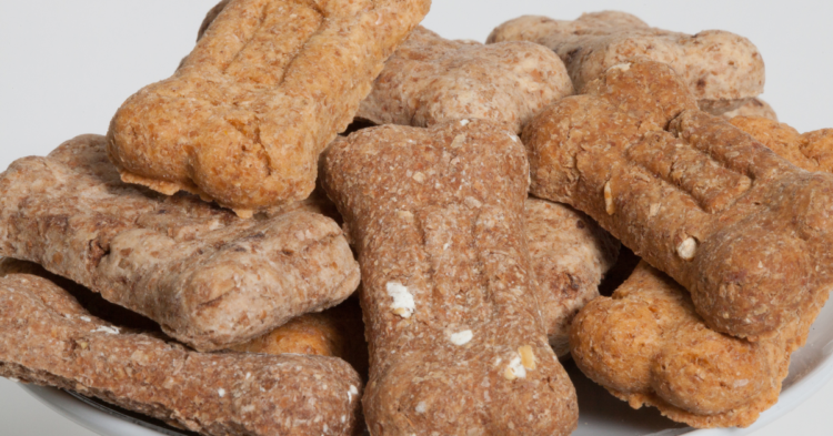 Pumpkin Dog Biscuits Recipe 1