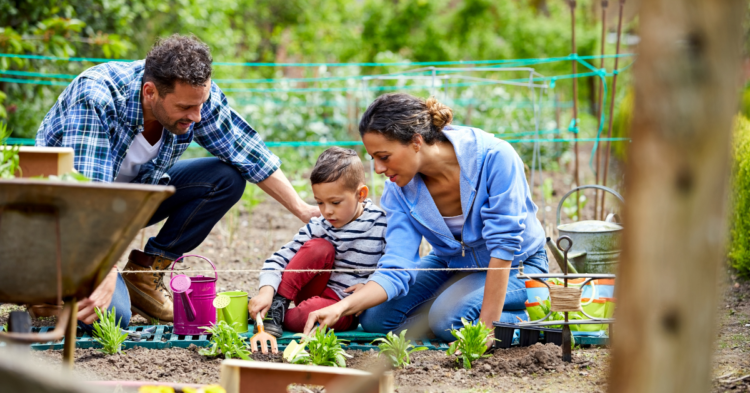 Weed Free Gardening-14 Tips and Tricks 1