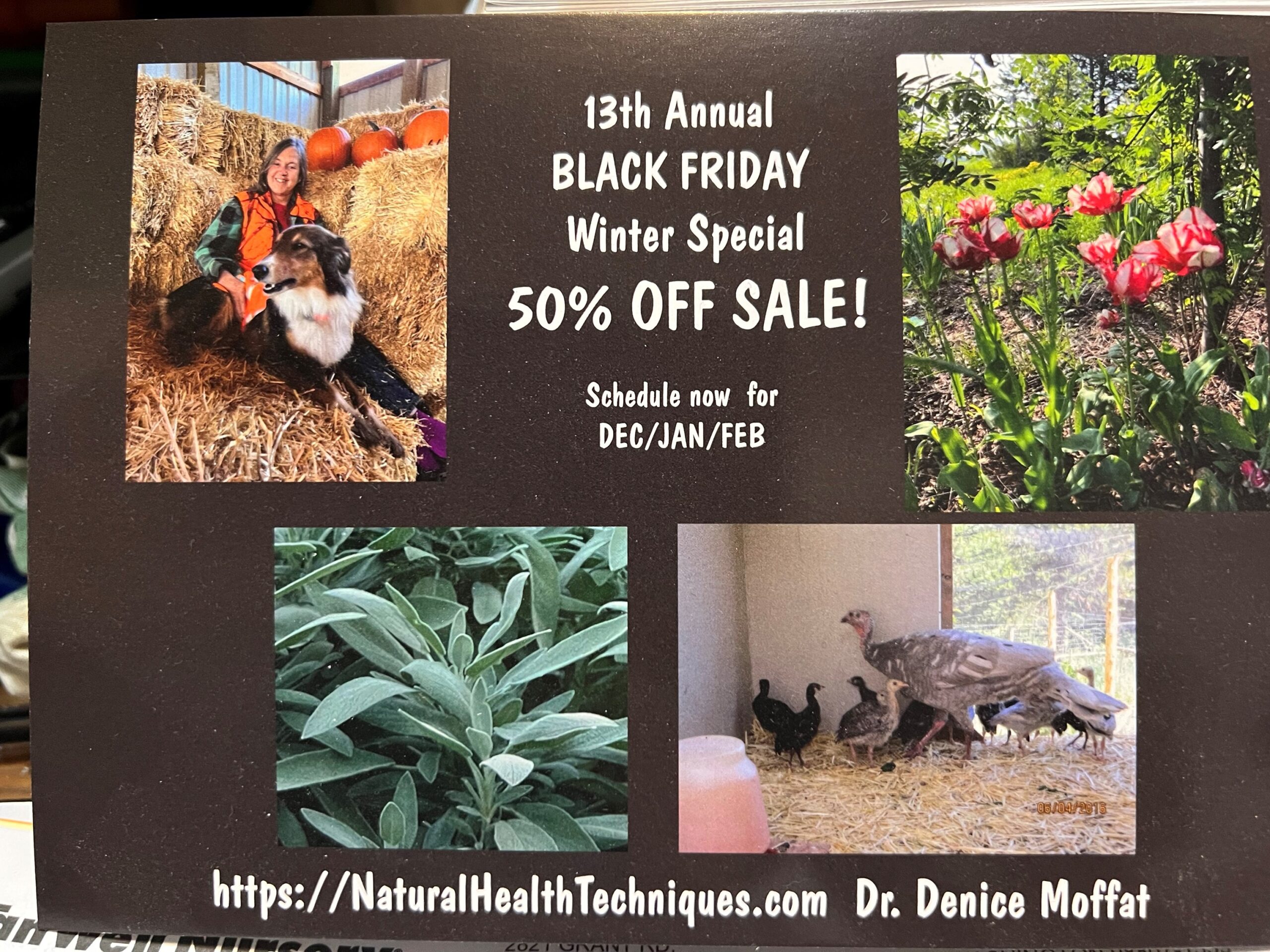 2023 Black Friday Special 50% Off Medical Intuitive Consults 11