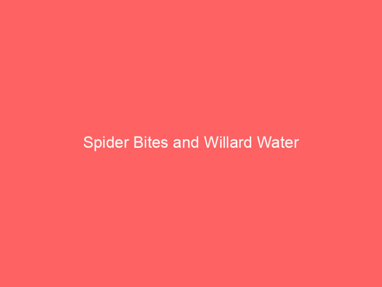 Willard Water