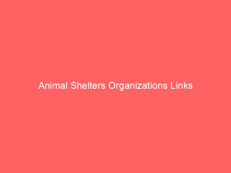 Animal Shelters Organizations Links 1