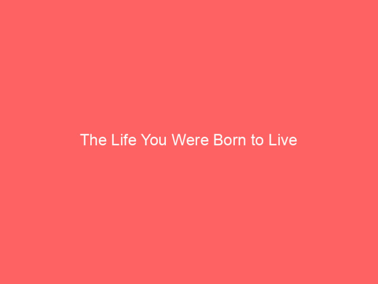 The Life You Were Born to Live 1